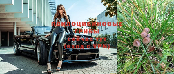 ПСИЛОЦИБИНОВЫЕ ГРИБЫ Бронницы